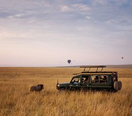 64 jours safari de luxe au Kenya dans la réserve nationale du Masai Mara et le parc national du lac Nakuru, Kenya - Photo 1