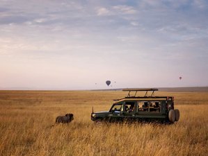 4 Day Luxury Safari at Masai Mara National Reserve and Lake Nakuru National Park