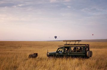 4 Day Luxury Kenya Safari at Masai Mara National Reserve and Lake Nakuru National Park