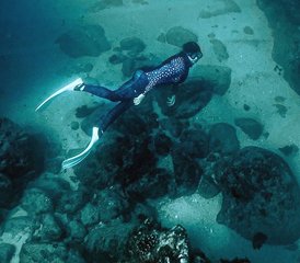 8 días de vacaciones de aventura oceánica en East Cape de Baja, México - Photo 4