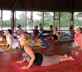 29 Tage 300-Stunden Kundalini-Yogalehrer Ausbildung in Rishikesh, Indien - Photo 4