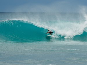 6 Day A Dance with the Ocean: Nana Longboard and Yoga Retreat in Ericeira, Portugal
