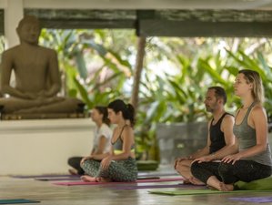 Customized Yoga Retreats