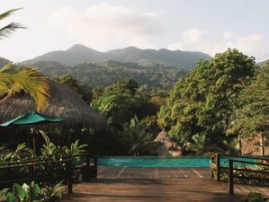 7 Day Vipassana & Yoga Retreat: A Path to Deep Insight, in Tayrona, Colombia
