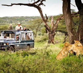 13 jours safari des grands félins au Kenya et en Tanzanie - Photo 4