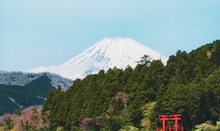 Hakone Retreats und Reisen