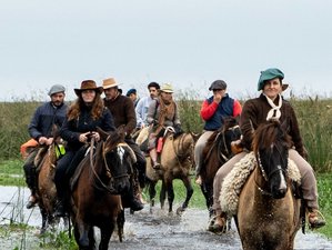 4 Day Esteros del Iberá: A Journey to the Heart of Guarani Tradition Horse Riding Tour in Argentina