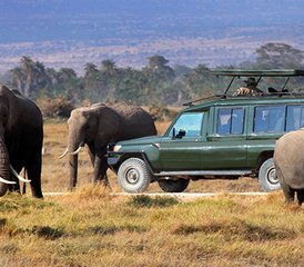 4-Daagse Masaï Mara En Lake Nakuru Groepssafari In Kenia - Photo 3