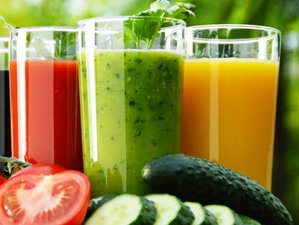 8 Day Organic Body Detox Juice, Meditation, Wellness Spa, and Yoga Holiday in Tabanan, Indonesia