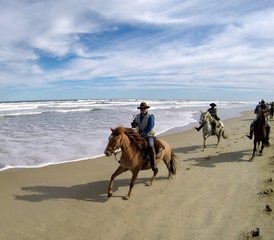 07 jours vacances équestres Los Chajá à Barra de Valizas, Rocha, Uruguay - Photo 1