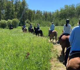 3 Day Cowhand Beginner Horse Riding and Ranch Holiday in Rossburn, Manitoba, Canada - Photo 3