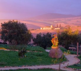 8 Day Escape Christmas Yoga Retreat in Andalusia, Spain - Photo 5