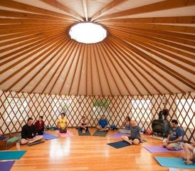 3 Day Online Sivananda Hatha Yoga, Meditation, and Essential Oils Retreat, 4.5 Live Hours Daily - Photo 2