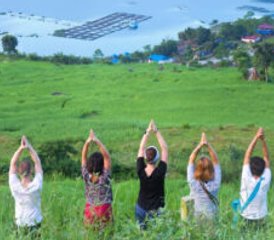 8-Daagse Ontspannende 'Standard Hatha Yoga' Retreat in Pokhara, Nepal - Photo 5