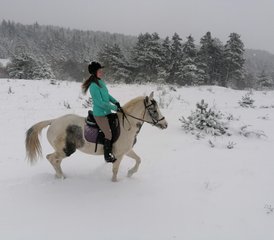 3 Day Horse Riding Vacation in Rila National Park, Bulgaria - Photo 4