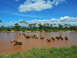 3 días de safari en la Reserva Nacional de Samburu, Kenia