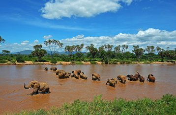 3 Days Safari in Samburu National Reserve, Kenya