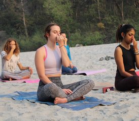 11 Day 100-Hour Holistic Ayurveda Yoga Teacher Training Course in Rishikesh - Photo 5