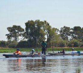 11-Daagse Okavango Mobiele Kampeersafari met Tenten in Botswana en Zimbabwe - Photo 2