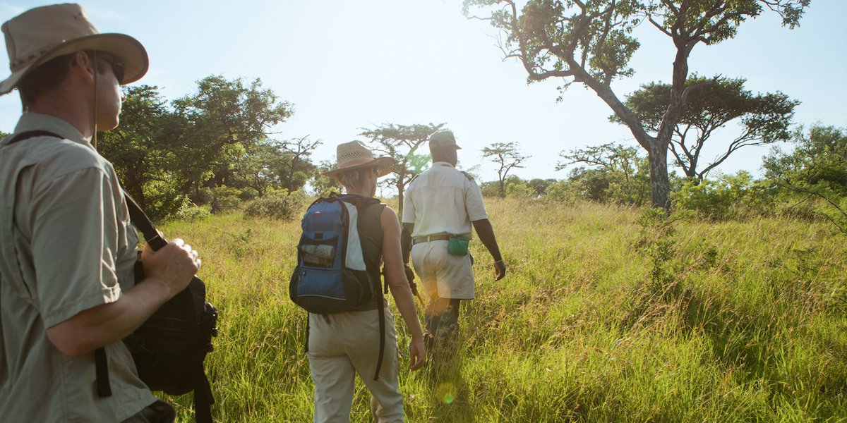 3 Day Budget Great Migration Safari Holiday in Maasai Mara National ...