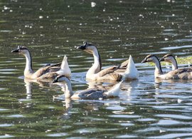 Marlborough Retreats und Reisen