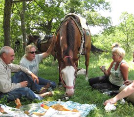 7-Daagse Carpe Diem Paardrijvakantie in Isernia, Molise, Italië - Photo 2