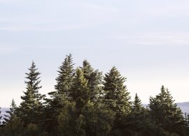 Island Falls Retreats und Reisen