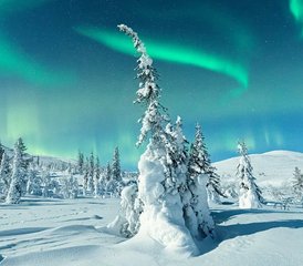 6 Day Bikram Yoga Holiday and Northern Lights Safari in Sörbyn, Sweden - Photo 3