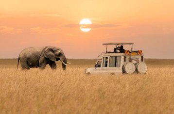 7 Día Safari Privado por lo Mejor de Tanzania: Experiencia de la Migración de Ñus en el Serengeti
