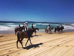 4 Days Beach And Bush Horse Riding Holiday In The Mid North