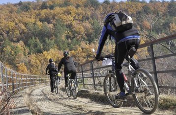 8 Day Istrian Wine Roads Self-Guided Cycling Tour in Croatia