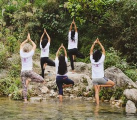 814 Day Mental, Physical, and Emotional Improvement Retreat in Tapovan, India - Photo 1