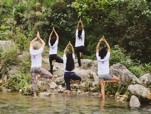 14 Day Anxiety, Depression, and Stress Relief Retreat in Tapovan, Rishikesh
