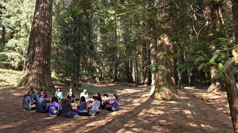 6 Tage 5 Elements Retreat mit Yoga, Klang und Musik im Wunderschönen Schwarzwald, Deutschland