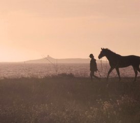 67 Day Wellness Retreat and Sardinian Journey: Connection with Nature, Horses, and Yoga in Italy - Photo 1