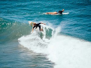 8 Day Pura Vida at Its Best Surf Camp for All Levels and Yoga Retreat in Playa Avellanas, Costa Rica