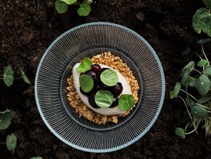 3 Day All-Inclusive Culinary Slow Living Retreat in the Amsterdam Countryside, Netherlands