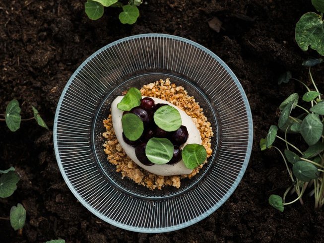 3 Day All-Inclusive Culinary Slow Living Retreat in the Amsterdam Countryside, Netherlands - photo 1