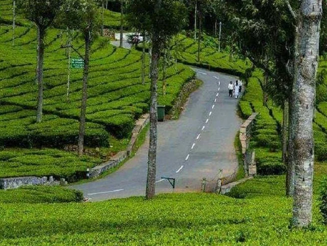 10 Day "The Planters Punch" Guided Loop Motorcycle Tour in Kerala, Tamil Nadu, and Karnataka photo 4