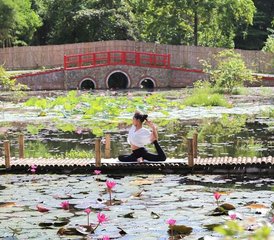 7 Day Detox Yourself Retreat in Alba Wellness Valley in Hue, Vietnam - Photo 3