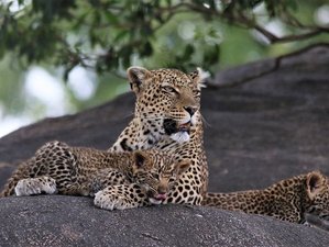 12 jours safari lune de miel de luxe et escapade à Zanzibar, Tanzanie