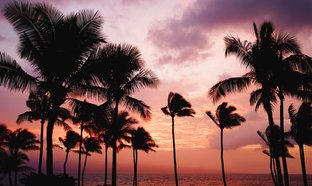 Maui Retraites et Voyages