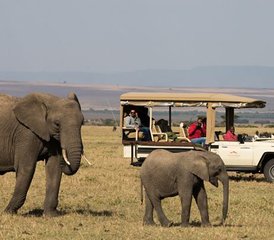 10 jours en safari des explorations du Nord au Kenya - Photo 2