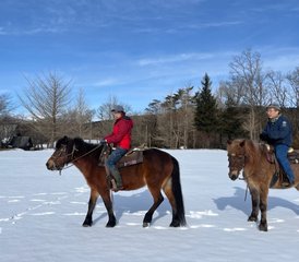 43 Tage Reiturlaub in Zaō, Präfektur Miyagi, Japan - Photo 1