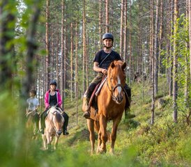 7 Tage Lappland im Sommer Reiten in Rovaniemi, Finnland - Photo 2