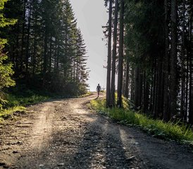 5 Tage in den Bergen: Sonnalm Yoga & Hike Retreat in Zell am See, Österreich - Photo 4