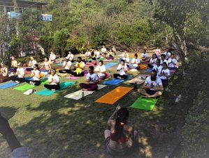 59 Day 500-Hour Fusion Yoga and Holistic Teacher Training in Rishikesh, Uttarakhand, India