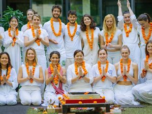 24 días de profesorado de yoga Hatha y Kundalini de 200 horas en Goa, India