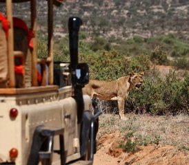 4 jours safari de luxe au Kenya dans la réserve nationale du Masai Mara et le parc national du lac Nakuru, Kenya - Photo 2