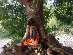 6 jours d'immersion en silence : stage de yoga à Saint-Claude, Guadeloupe